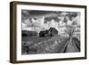 Derelict Barn in Usa-Rip Smith-Framed Premium Photographic Print