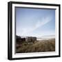 Derelict Barn on Coast, Lofoten Islands, Norway, Scandinavia, Europe-Purcell-Holmes-Framed Photographic Print