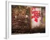 Derelict Door with Graffiti 5-Clive Nolan-Framed Photographic Print