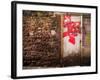 Derelict Door with Graffiti 5-Clive Nolan-Framed Photographic Print