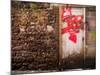 Derelict Door with Graffiti 5-Clive Nolan-Mounted Photographic Print