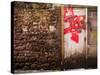 Derelict Door with Graffiti 5-Clive Nolan-Stretched Canvas