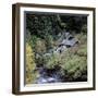 Derelict Houses in Manning Park, British Columbia, Canada-Mark Taylor-Framed Photographic Print