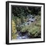 Derelict Houses in Manning Park, British Columbia, Canada-Mark Taylor-Framed Photographic Print