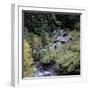 Derelict Houses in Manning Park, British Columbia, Canada-Mark Taylor-Framed Photographic Print