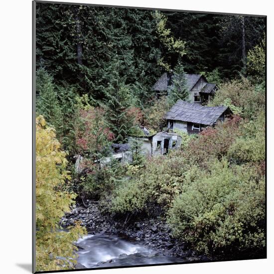 Derelict Houses in Manning Park, British Columbia, Canada-Mark Taylor-Mounted Photographic Print