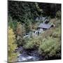 Derelict Houses in Manning Park, British Columbia, Canada-Mark Taylor-Mounted Photographic Print