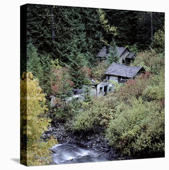 Derelict Houses in Manning Park, British Columbia, Canada-Mark Taylor-Stretched Canvas