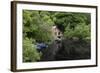 Derelict Old Retro Boathouse and Rowing Boats Hidden in Forest Lake in Summer-Veneratio-Framed Photographic Print