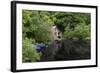 Derelict Old Retro Boathouse and Rowing Boats Hidden in Forest Lake in Summer-Veneratio-Framed Photographic Print