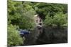 Derelict Old Retro Boathouse and Rowing Boats Hidden in Forest Lake in Summer-Veneratio-Mounted Photographic Print