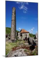 Derelict Old Sugar Mill, Nevis, St. Kitts and Nevis-Robert Harding-Mounted Photographic Print