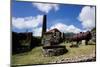 Derelict Old Sugar Mill, Nevis, St. Kitts and Nevis-Robert Harding-Mounted Photographic Print