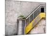 Derelict Yellow Stairway-Clive Nolan-Mounted Photographic Print