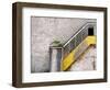 Derelict Yellow Stairway-Clive Nolan-Framed Photographic Print