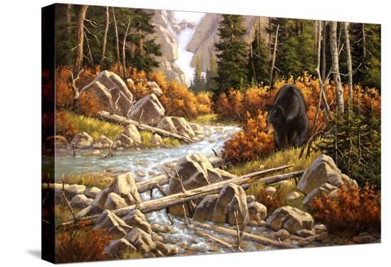 Stretched Canvas Print, , large