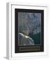 White Frame