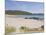 Derrynane Bay, Ring of Kerry, County Kerry, Munster, Republic of Ireland, Europe-null-Mounted Photographic Print