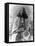 Dervish African Man in Sudan Photograph - Sudan-Lantern Press-Framed Stretched Canvas