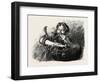 Dervish Eating Scorpions. Egypt, 1879-null-Framed Giclee Print