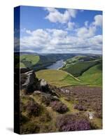Derwent Edge, Ladybower Reservoir, and Purple Heather Moorland in Foreground, Peak District Nationa-Neale Clark-Stretched Canvas