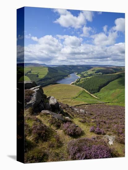 Derwent Edge, Ladybower Reservoir, and Purple Heather Moorland in Foreground, Peak District Nationa-Neale Clark-Stretched Canvas