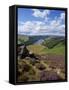 Derwent Edge, Ladybower Reservoir, and Purple Heather Moorland in Foreground, Peak District Nationa-Neale Clark-Framed Stretched Canvas