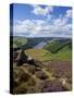 Derwent Edge, Ladybower Reservoir, and Purple Heather Moorland in Foreground, Peak District Nationa-Neale Clark-Stretched Canvas