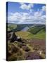 Derwent Edge, Ladybower Reservoir, and Purple Heather Moorland in Foreground, Peak District Nationa-Neale Clark-Stretched Canvas