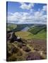 Derwent Edge, Ladybower Reservoir, and Purple Heather Moorland in Foreground, Peak District Nationa-Neale Clark-Stretched Canvas