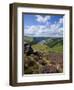 Derwent Edge, Ladybower Reservoir, and Purple Heather Moorland in Foreground, Peak District Nationa-Neale Clark-Framed Photographic Print