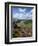 Derwent Edge, Ladybower Reservoir, and Purple Heather Moorland in Foreground, Peak District Nationa-Neale Clark-Framed Photographic Print