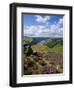 Derwent Edge, Ladybower Reservoir, and Purple Heather Moorland in Foreground, Peak District Nationa-Neale Clark-Framed Photographic Print