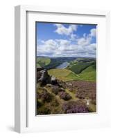 Derwent Edge, Ladybower Reservoir, and Purple Heather Moorland in Foreground, Peak District Nationa-Neale Clark-Framed Photographic Print