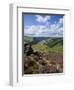 Derwent Edge, Ladybower Reservoir, and Purple Heather Moorland in Foreground, Peak District Nationa-Neale Clark-Framed Photographic Print