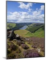 Derwent Edge, Ladybower Reservoir, and Purple Heather Moorland in Foreground, Peak District Nationa-Neale Clark-Mounted Photographic Print