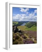 Derwent Edge, Ladybower Reservoir, and Purple Heather Moorland in Foreground, Peak District Nationa-Neale Clark-Framed Photographic Print