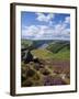 Derwent Edge, Ladybower Reservoir, and Purple Heather Moorland in Foreground, Peak District Nationa-Neale Clark-Framed Photographic Print