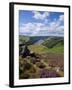 Derwent Edge, Ladybower Reservoir, and Purple Heather Moorland in Foreground, Peak District Nationa-Neale Clark-Framed Photographic Print