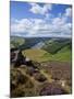 Derwent Edge, Ladybower Reservoir, and Purple Heather Moorland in Foreground, Peak District Nationa-Neale Clark-Mounted Photographic Print