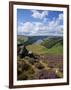 Derwent Edge, Ladybower Reservoir, and Purple Heather Moorland in Foreground, Peak District Nationa-Neale Clark-Framed Photographic Print