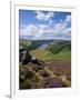 Derwent Edge, Ladybower Reservoir, and Purple Heather Moorland in Foreground, Peak District Nationa-Neale Clark-Framed Photographic Print