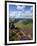 Derwent Edge, Ladybower Reservoir, and Purple Heather Moorland in Foreground, Peak District Nationa-Neale Clark-Framed Photographic Print