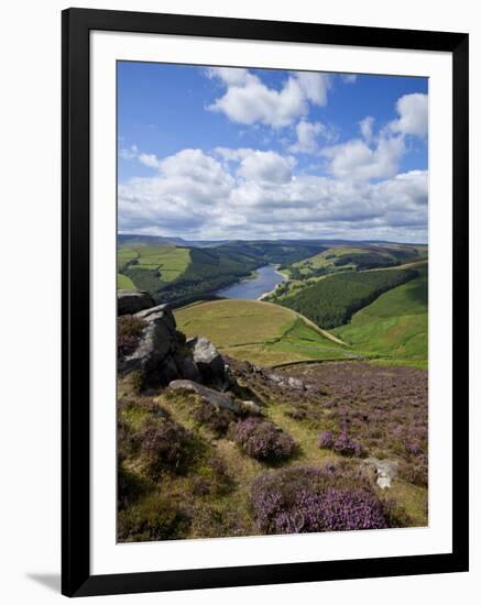 Derwent Edge, Ladybower Reservoir, and Purple Heather Moorland in Foreground, Peak District Nationa-Neale Clark-Framed Photographic Print