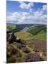 Derwent Edge, Ladybower Reservoir, and Purple Heather Moorland in Foreground, Peak District Nationa-Neale Clark-Mounted Photographic Print