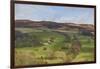 Derwent Valley, Peak District National Park, Derbyshire, England, United Kingdom, Europe-Tim Winter-Framed Photographic Print