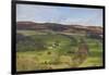 Derwent Valley, Peak District National Park, Derbyshire, England, United Kingdom, Europe-Tim Winter-Framed Photographic Print