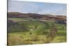Derwent Valley, Peak District National Park, Derbyshire, England, United Kingdom, Europe-Tim Winter-Stretched Canvas