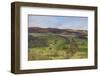 Derwent Valley, Peak District National Park, Derbyshire, England, United Kingdom, Europe-Tim Winter-Framed Photographic Print