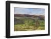 Derwent Valley, Peak District National Park, Derbyshire, England, United Kingdom, Europe-Tim Winter-Framed Photographic Print